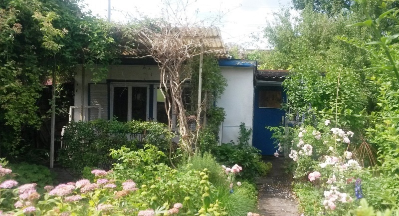 Blick in die Ausstellung