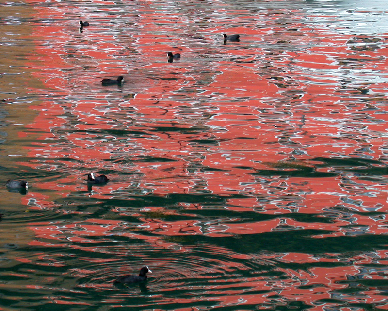 Blick in die Ausstellung