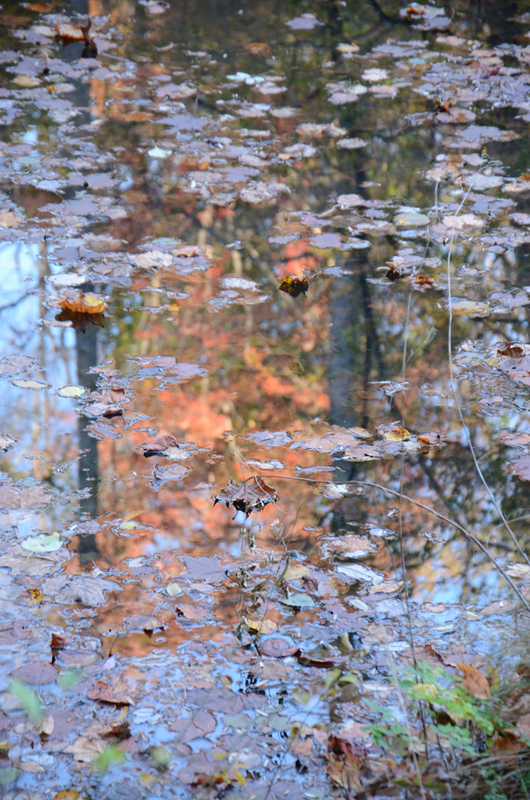 Blick in die Ausstellung