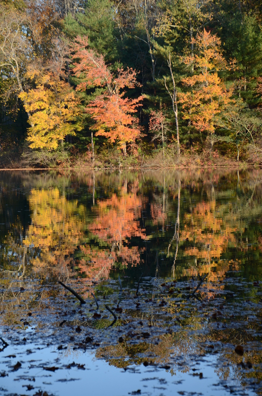Blick in die Ausstellung