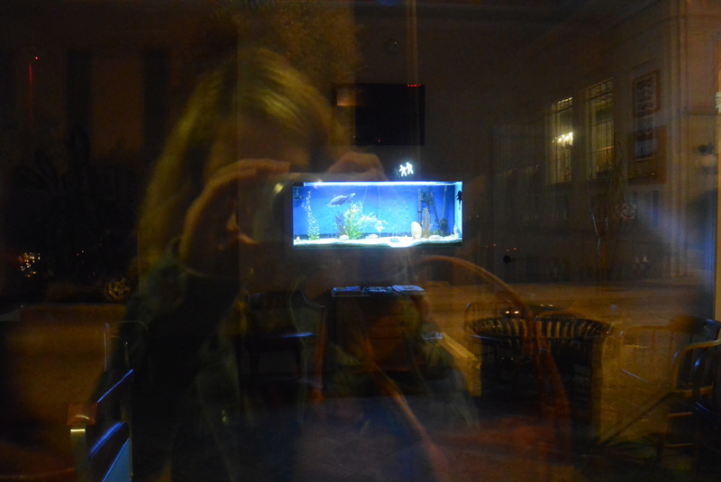 Blick in die Ausstellung