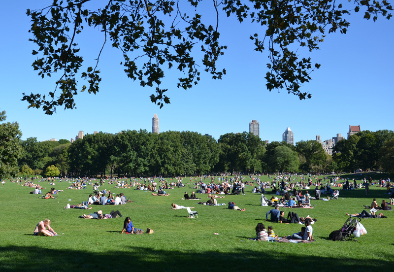 Blick in die Ausstellung