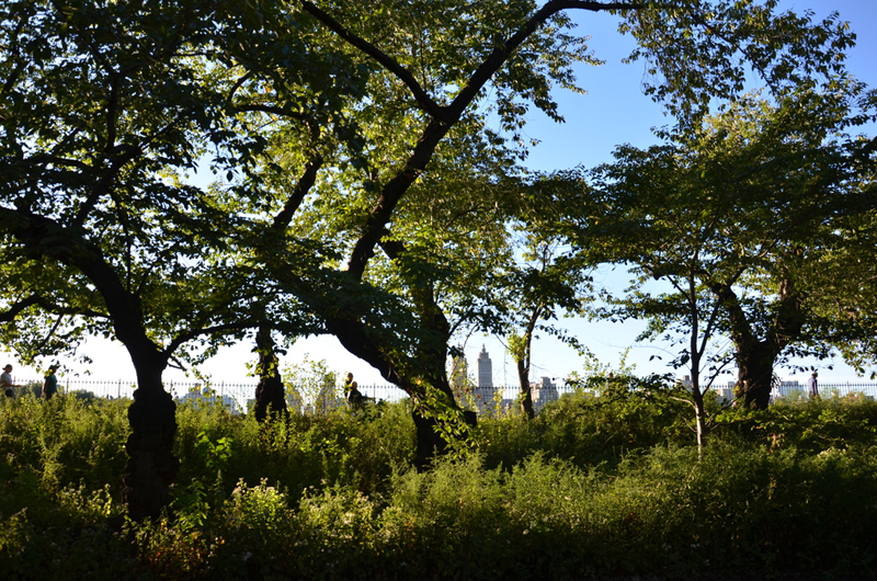 Blick in die Ausstellung