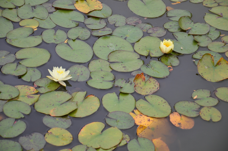 Blick in die Ausstellung