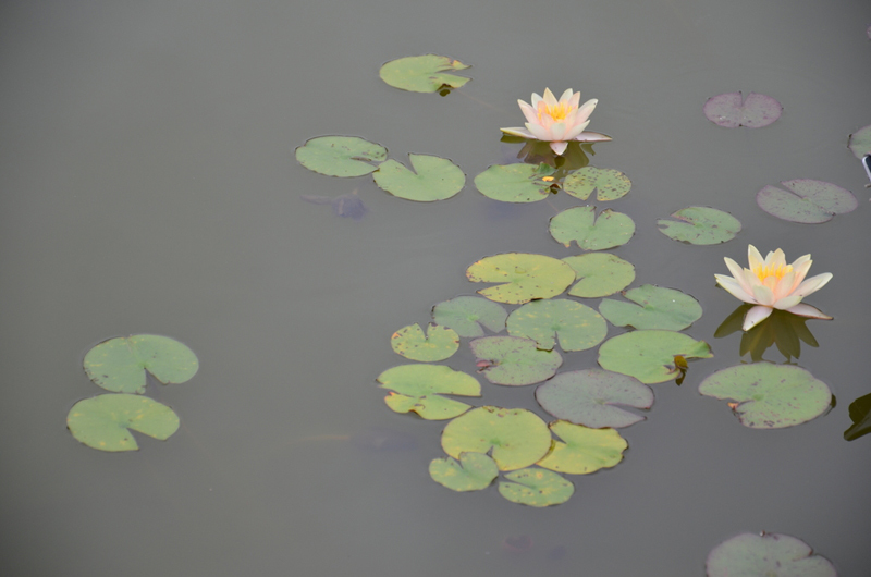 Blick in die Ausstellung