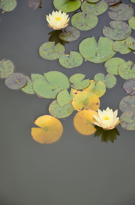 Blick in die Ausstellung