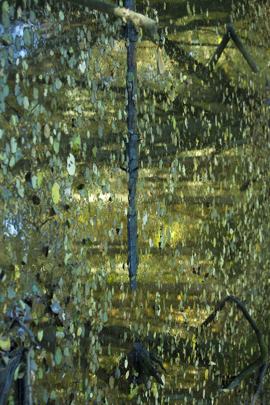 Blick in die Ausstellung