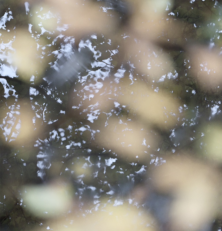 Blick in die Ausstellung