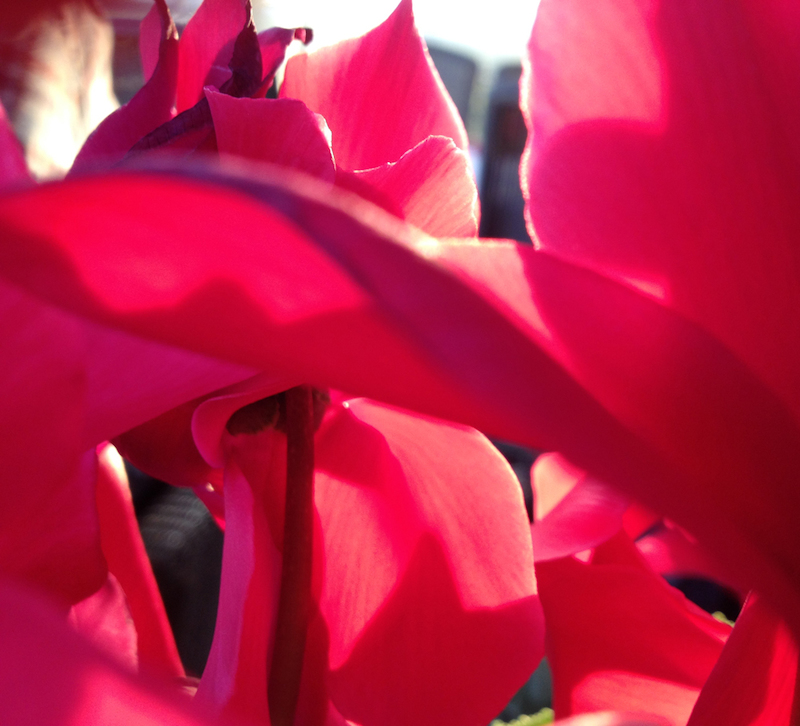 Blick in die Ausstellung