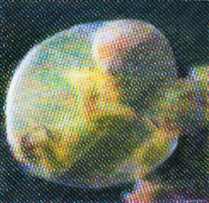 Blick in die Ausstellung