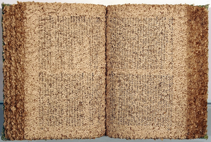 Ji-Hyun Lee: "Shakespeare: Romeo & Julia" ()