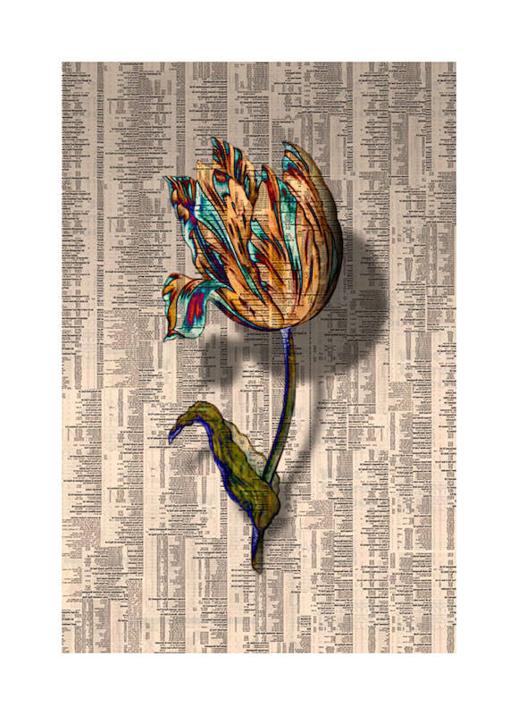 Gordon Cheung: "Tulipmania XI" (2012)