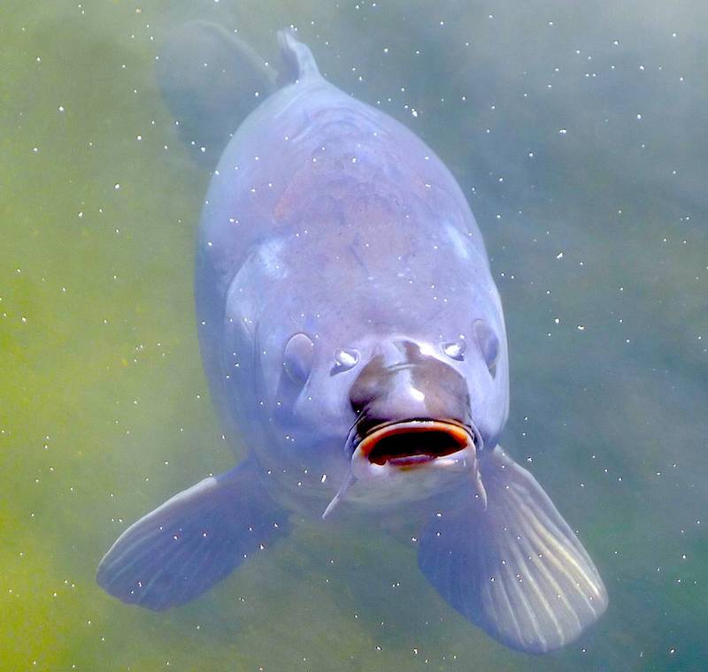 Blick in die Ausstellung