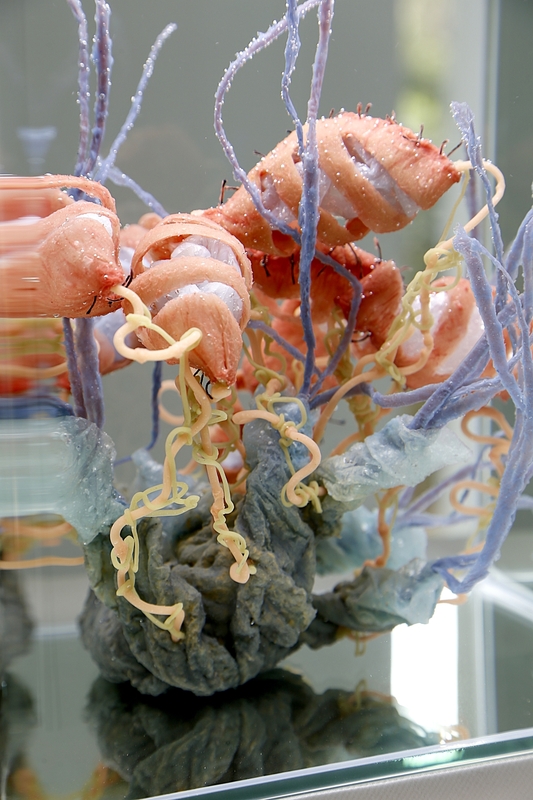 Blick in die Ausstellung