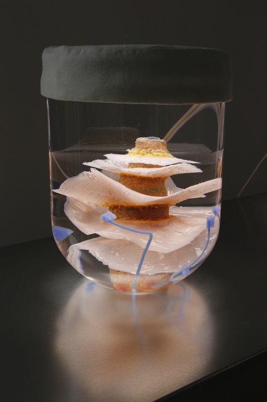 Blick in die Ausstellung