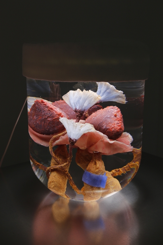 Blick in die Ausstellung