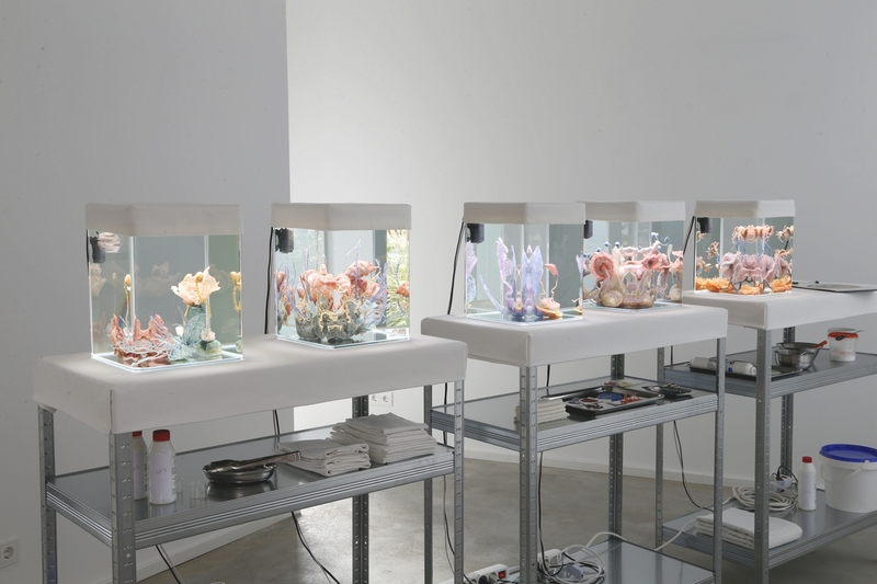 Blick in die Ausstellung