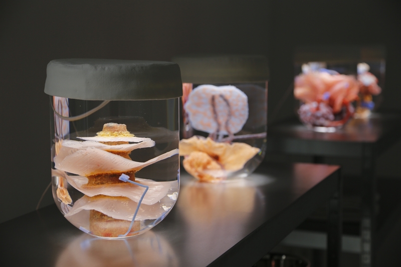 Blick in die Ausstellung