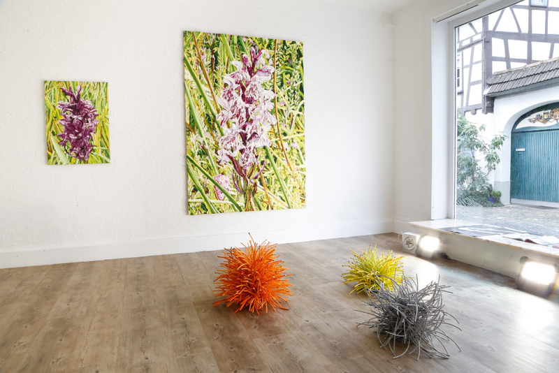 Blick in die Ausstellung