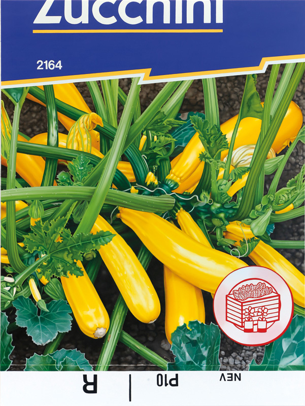 Günter Beier: "Zucchini" (2020)