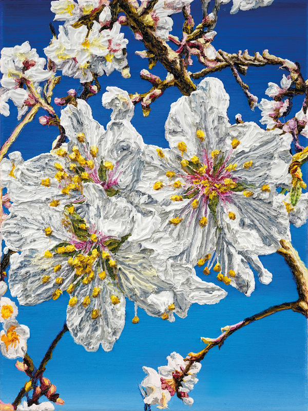 Katharina Gierlach: "Mandelblüte IV" (2025)