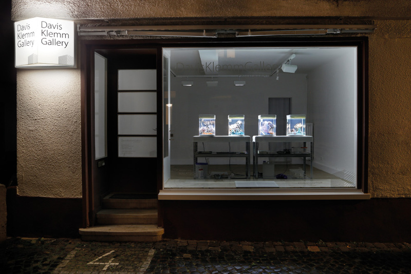 Blick in die Ausstellung