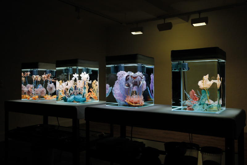 Blick in die Ausstellung