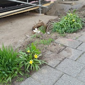 Blick in die Ausstellung