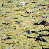 Katharina Gierlach - Am Scheerbach III, 2023, Öl auf Leinwand