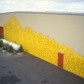 Blick in die Ausstellung