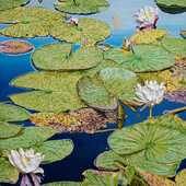 Katharina Gierlach - Cesky Krumlov