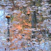 Blick in die Ausstellung