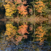 Blick in die Ausstellung