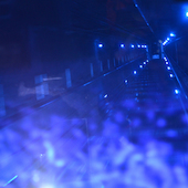 Blick in die Ausstellung