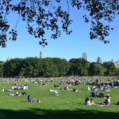 Blick in die Ausstellung