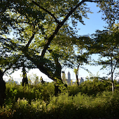 Blick in die Ausstellung