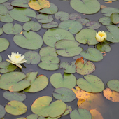 Blick in die Ausstellung