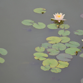 Blick in die Ausstellung