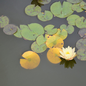 Blick in die Ausstellung