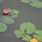 Blick in die Ausstellung