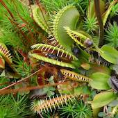 Blick in die Ausstellung