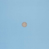 Michael Craig-Martin - Sports Balls (Golfball)