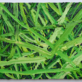 Blick in die Ausstellung