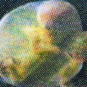 Blick in die Ausstellung