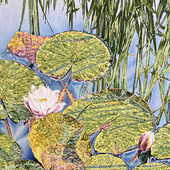 Katharina Gierlach - Königshain