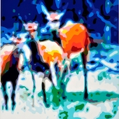 Konrad Winter - Lichtung