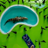 Blick in die Ausstellung