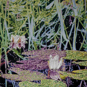 Katharina Gierlach - Nymphaea alba, 2025, Öl auf Leinwand