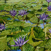 Katharina Gierlach - Nymphaea cerulea