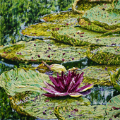 Katharina Gierlach - Perry's Baby Red, 2023, Öl auf Leinwand